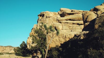 wisata rumah pohon bekasi